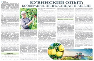Кувинский опыт: кооперация, приносящая прибыль
