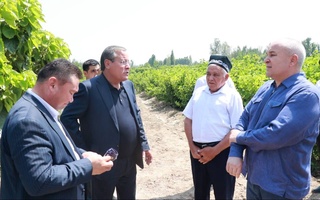 Обсуждены вопросы эффективного использования тутовничества в шелководстве и поддержки надомного труда