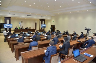 Сенатда Оролбўйи минтақасини ривожлантириш масалалари қўмитаси ташкил этилди