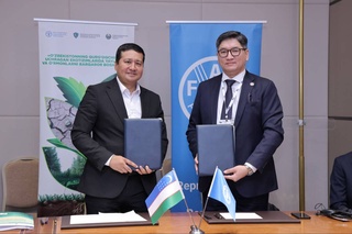 ФАО ҳәм Өзбекстан тоғайлар ҳәм жерлердиң деградациясына қарсы гүресиўде бирге ислесиўди беккемлемекте