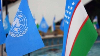 ООН и Узбекистан: Цели устойчивого развития в действии