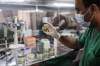 ЖССТ: дунёда вабодан ўлим кўрсаткичи 71 фоизга ошди