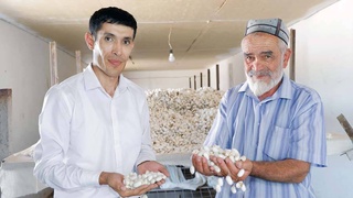 Опыт махалли «Маллабой» в Бекабаде: эффективное использование приусадебных участков