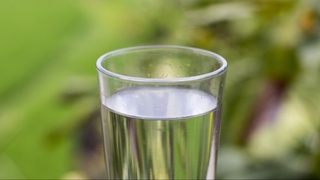 Olimlar suvni kukun va quyosh nuri bilan tozalash usulini ishlab chiqishdi