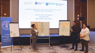 ФАО продвигает «зеленое финансирование» в Узбекистане