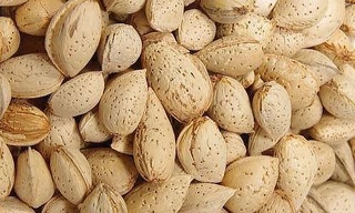 Ўзбекистон 7 миллион долларлик бодом экспорт қилди