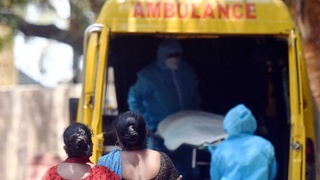 Неизвестная болезнь в Индии: в воде и молоке нашли свинец и никель