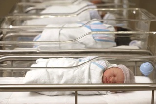 2023 йилнинг қайси ойида республика бўйича энг кўп туғилиш қайд этилгани маълум бўлди