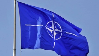 Узбекистан и НАТО обсуждают перспективы сотрудничества в сфере предупреждения чрезвычайных ситуаций