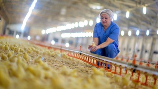 Какая помощь оказывается фермерам?