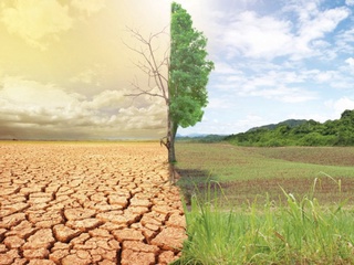 O'zbekistonda iqlim o'zgarishi bo'yicha yangi loyiha start oldi