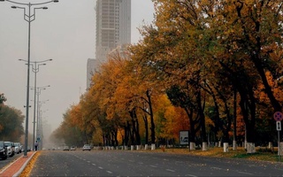 2023 йил ноябр ойи қандай бўлади?