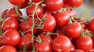 Rosselxoznadzor Oʻzbekistondan pomidor olib kirilishiga ruxsat berdi