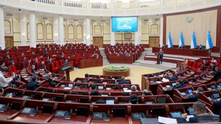 The deputies proposed to allocate an additional 25.8 billion soums from the State Budget to the healthcare system