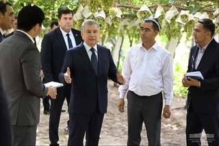 Uzumchilikda Oltiariq tajribasi kengaytiriladi