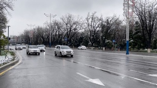 19 март куни кутилаётган об-ҳаво ҳақида маълумот берилди