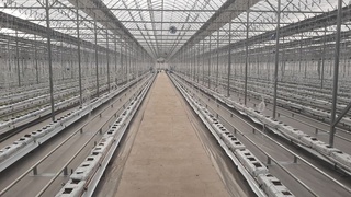 Тахиатошда лойиҳа қиймати 10,5 млрд сўмлик иссиқхона иш бошлади