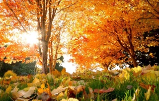 Пешгӯии обу ҳаво барои 14 ноябр