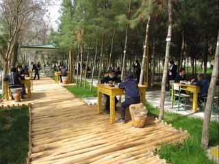 Қашқадарёда умумтаълим мактаблари ўқувчилари шахмат бўйича вилоят ҳокими кубоги учун мусобақалашмоқда