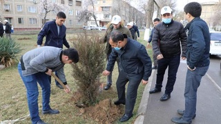 Общий вклад в защиту окружающей среды