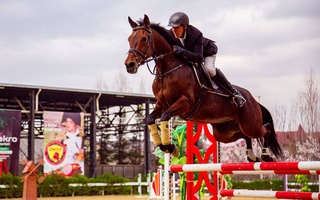 Ташкент встречает конкуристов мирового уровня