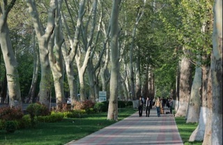 Shady walking streets to be created in Uzbekistan