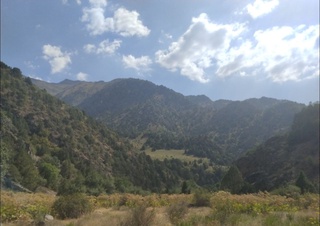 Haftaning ikkinchi yarmida havo harorati sezilarli pasayishi kutilmoqda