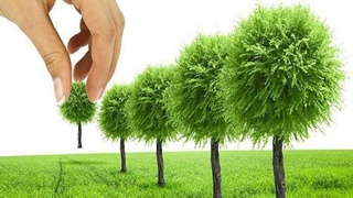 "Жасыл" қала қурылысы