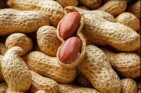 Ўзбекистон Афғонистонга 403 тонна ерёнғоқ экспорт қилган