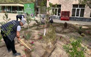 Общий вклад в озеленение территорий