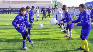 Как нормативно-правовая база помогает развитию спорта