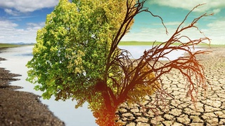 Как в Узбекистане будут внедрять климатическую классификацию расходов Госбюджета?