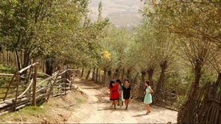 Реализация Программы по смягчению последствий пандемии COVID-19 на гражданское общество Узбекистана