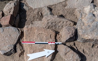 To'rt ming yoshli “narda” topildi