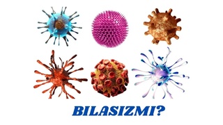 Вируслар қанча яшайди?