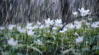 Прогноз погоды на 5 марта