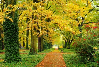 Weather forecast for October 29