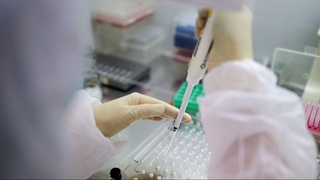 Новый штамм коронавируса из ЮАР, обнаруженный в Британии