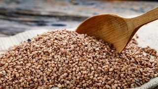 Россия ввела временный запрет на экспорт гречихи