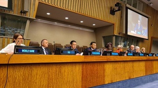 ФАО подняла вопросы Приаралья на Форуме ООН по лесам