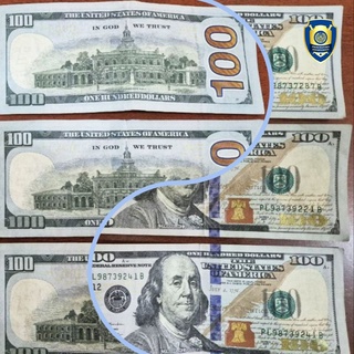 “Paynet” shoxobchasida qalbaki 500 AQSH dollarini oʻtkazgan shaxs ushlandi