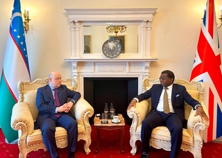 British business is interested in investing in the telecommunications sector of Uzbekistan