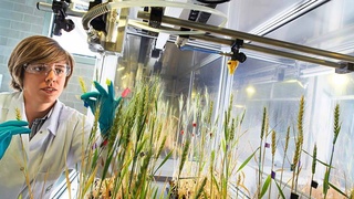 Обозначены приоритеты в аграрном секторе страны