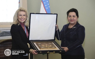 Состоялась встреча с вице-президентом ПА ОБСЕ, спецпредставитель по Центральной Азии