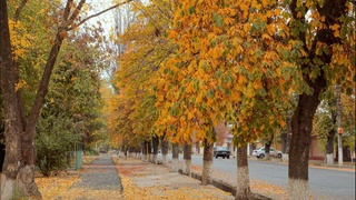 Прогноз погоды на 26 ноября