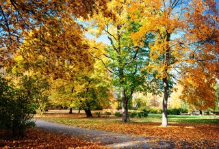 Weather forecast for October 16th