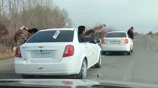 Qashqadaryodagi to‘y kortejida mashina oynasidan tanasini chiqarib pul sochgan kuyovjo‘ralar jazolandi