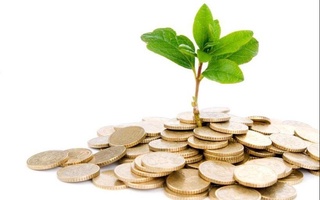 Xorijiy OTMda toʻlov-kontrakt asosida oʻqiyotgan Prezident maktablari bitiruvchilariga subsidiya beriladi