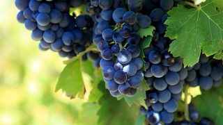 Опыт Алтыарыка: повысить узнаваемость бренда страны