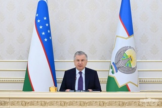 Har bir viloyatda daraxt ekish uchun kamida 20 gektardan yer ajratiladi